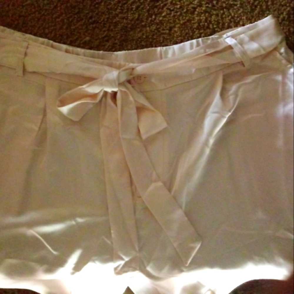 Size 2x New Champagne Beige Satin Dress Pants 42"Waist by 31" Inseam